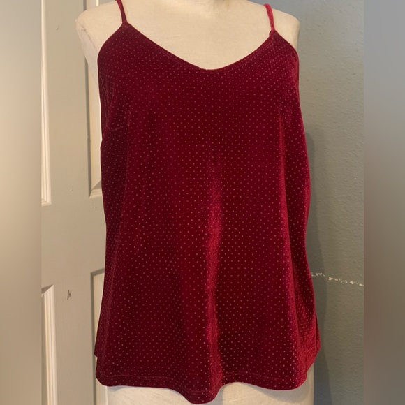 Hummingbird Too - Picture 3 of 3